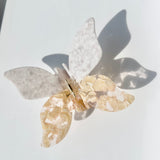 Handmade Wild Butterfly Claw Clip | Eco-Friendly