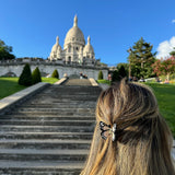 Hand-painted Mini Monarch Butterfly Claw Hair Clip | Eco-Friendly