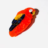 Hand-painted Parrot Bird Claw Hair Clip | Eco-Friendly