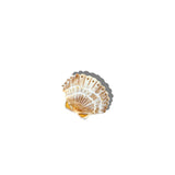 Hand-painted Mini Seashell Claw Hair Clip | Eco-Friendly