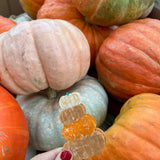 Hand-painted Pumpkin Stack Claw Hair Clip | Eco-Friendly