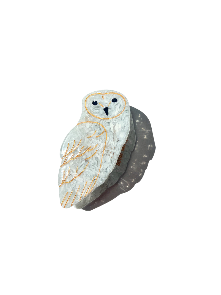 Hand-painted Owl Bird Claw Hair Clip | Eco-Friendly