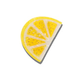 Hand-painted Citrus Slice Claw Hair Clip | Eco-Friendly