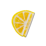 Hand-painted Citrus Slice Claw Hair Clip | Eco-Friendly