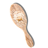 Hand-painted Seashell Acetate 2-1 Daily Hair Brush | Eco-Friendly