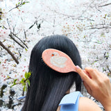 Hand-painted Swan Great Hair Brush | Eco-Friendly