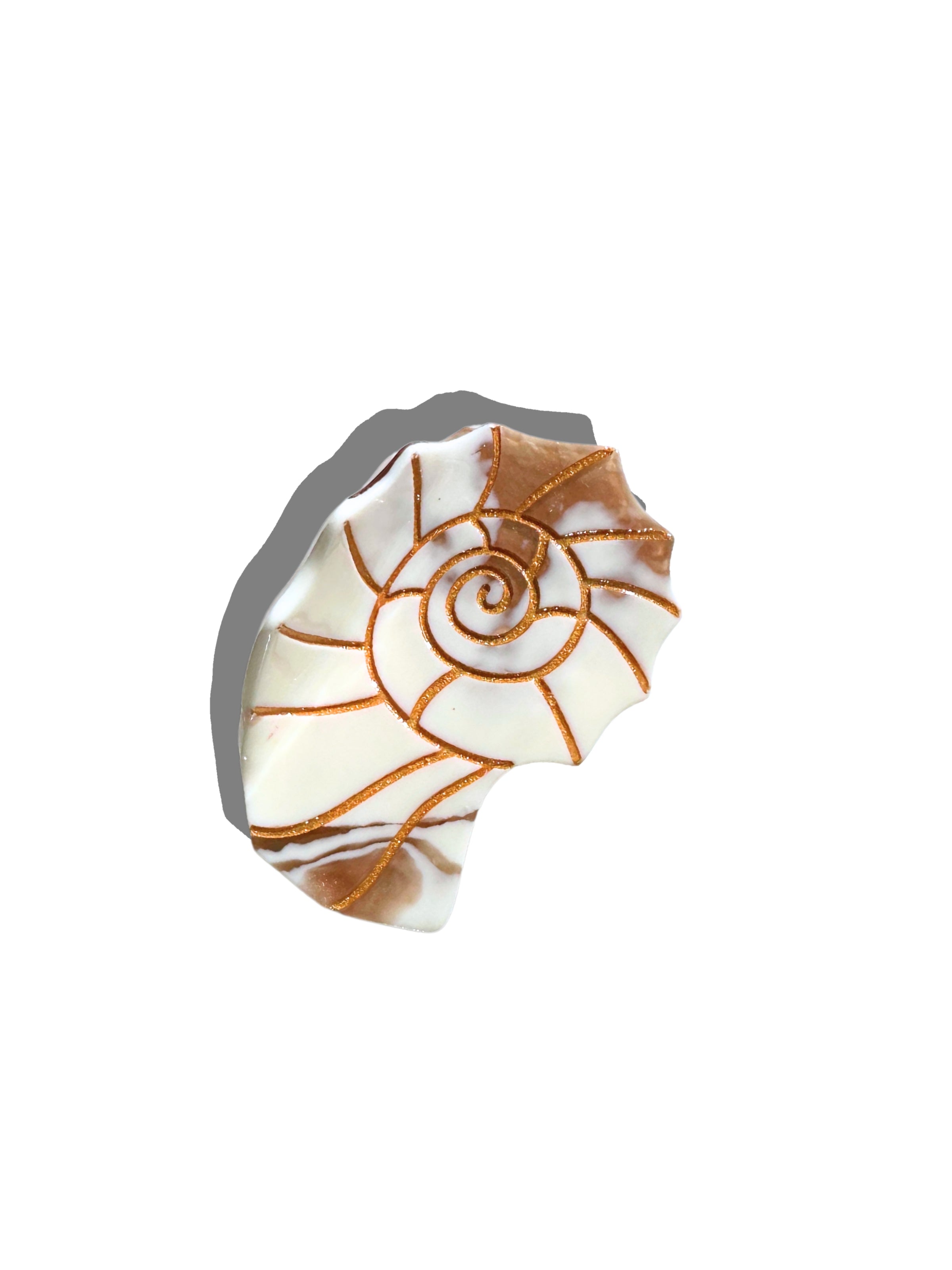 Hand-painted Sundial Shell Claw Hair Clip | Eco-Friendly