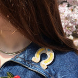 Hand-painted Horseshoe Brooch Pin