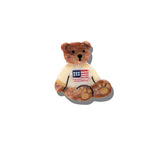 Hand-painted Americana Teddy Brooch Pin