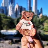 Hand-painted Mini New York Teddy Bear Hair Claw Clip | Eco-Friendly