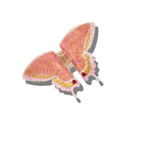 Hand-Painted Swallowtail Butterfly Claw Hair Clip | Eco-Friendly