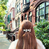 Hand-Painted Vintage Flowers French Barrette Hair Clip | Eco-Friendly