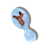 Hand-painted Dachshund Handbag Hero Brush | Eco-Friendly