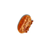 Hand-painted Lucky Penny Claw Clip | Eco-Friendly