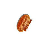 Hand-painted Lucky Penny Claw Clip | Eco-Friendly