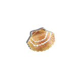 Hand-painted Seashell Claw Hair Clip | Eco-Friendly