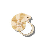 Hand-painted Spiral Shell Compact Mirror | Eco-Friendly