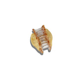Hand-painted Tulip Conch Shell Claw Hair Clip | Eco-Friendly