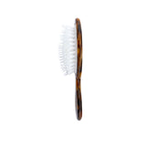 Hand-painted Conus Conch Handbag Hero Brush | Eco-Friendly