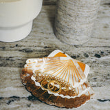 Hand-painted Seashell Heirloom Tray