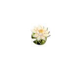 Hand-painted Lotus Brooch Pin