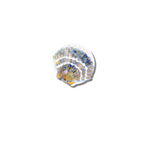 Hand-painted Seashell GripCharm | Eco-Friendly