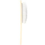 Hand-painted Frenchie Puppy Brush | Eco-Friendly