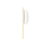 Hand-painted Frenchie Puppy Brush | Eco-Friendly
