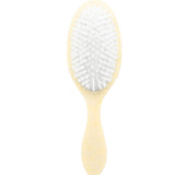 Hand-painted Sea Bream Fish Brush | Eco-Friendly