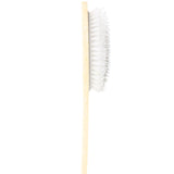 Hand-painted Sea Bream Fish Brush | Eco-Friendly