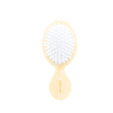 Hand-painted Sea Bream Fish Brush | Eco-Friendly