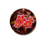 Hand-painted Winter Blossom Compact Mirror | Eco-Friendly