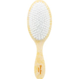 Hand-painted Hotel Teddy Brush | Eco-Friendly