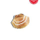 Hand-painted Mini Seashell Claw Hair Clip | Eco-Friendly