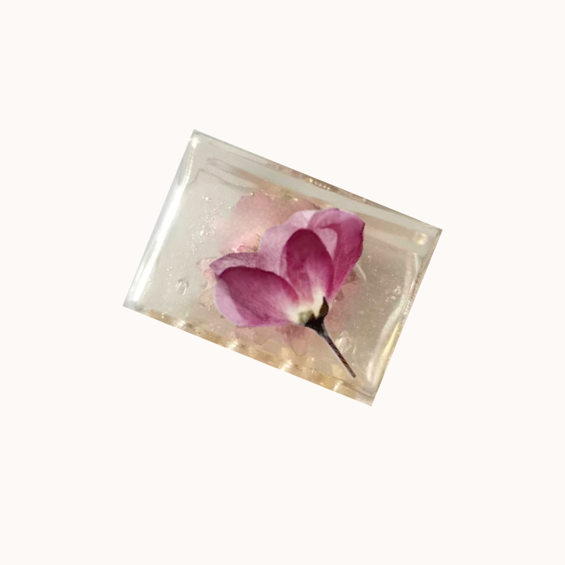 Handmade Dried Flowers Hair Claw Clip