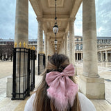 Feathers Bow Hair Clip