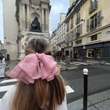 Handmade Organza Bow Hair Clip