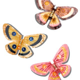 Hand-Painted Emperor Silk Moth Claw Hair Clip | Eco-Friendly