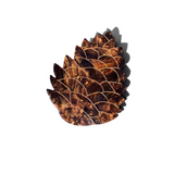 Hand-painted Pinecone Claw Hair Clip | Eco-Friendly